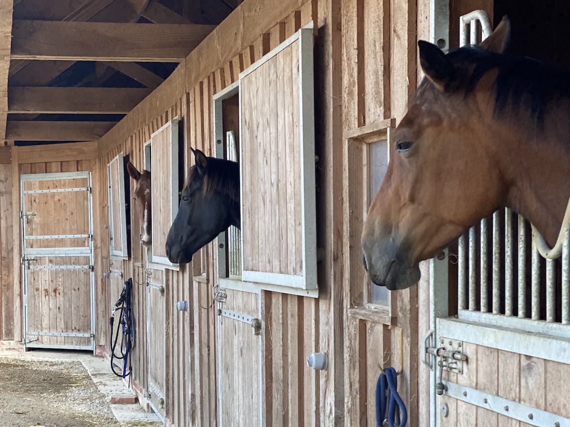 brown wooden framed glass window